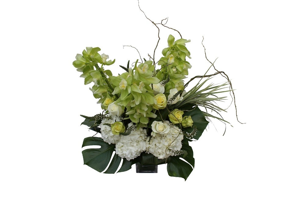 Flower arrangement in a tall, square, clear glass vase, green cymbidium orchid stems, white hydrangea, white and green roses, monstera leaves and lily grass