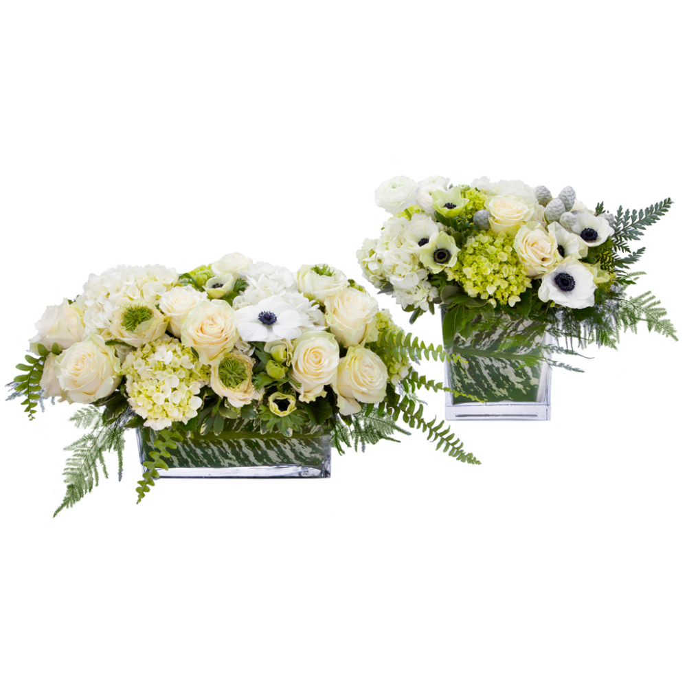 Two Flower arrangements,  Tetra : Flower arrangement in a low, square, clear glass vase, green hydrangea, white hydrangea, white roses, white anemones, white ranunculus, leather leaves and silver pinecones Grand Tetra : Flower arrangement in a low, rectangle, clear glass vase, white and green hydrangea, white hydrangea, white roses, white anemones and white ranunculus