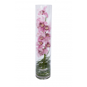 Stem of pink cymbidium orchid in a cylinder tall clear glass vase with grass
