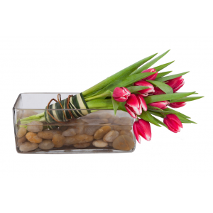 Flower arrangement in a low, rectangle, clear vase with rocks and a bunch of red tulips leaning on the right side of the vase