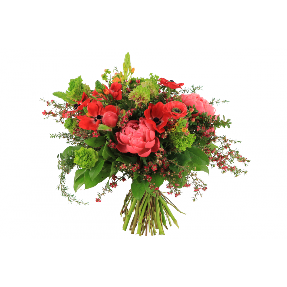 Round hand tied bouquet, red anemones, coral peonies, orange chincherinchee, green ranunculus, red wax flower and lush foliage