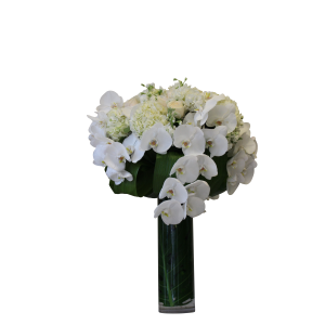 Flower arrangement in a tall, round, clear glass vase, white hydrangeas, white roses and cascading white phalaenopsis orchids