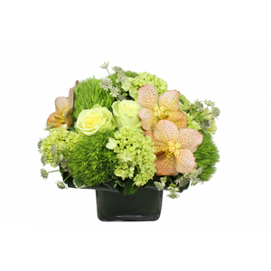 Flower arrangement in a low, square, clear glass vase, green hydrangeas, green dianthus, green roses, white astrantias and yellow vanda orchids