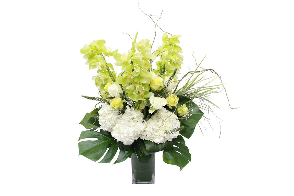 Flower arrangement in a tall, square, clear glass vase, green cymbidium orchid stems, white hydrangea, white and green roses, monstera leaves and lily grass