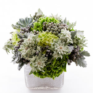 Flower arrangement in a low, square, silver, glass vase, green hydrangea, silver brunia, dusty miller, edelweiss flowers and a succulent.