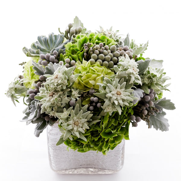 Morning Frost – Edelweiss Floral Atelier