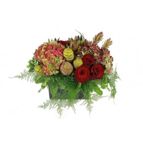 Flower arrangement in a low, square, black, ceramic vase, antique green hydrangea, red roses, green leucadendron, ans asparagus fern