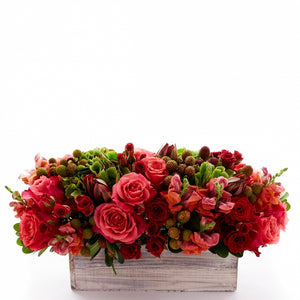 Flower arrangement in a low, rectangle wood box, antique green hydrangea, coral roses, red spray roses, coral snapdragons and berries.