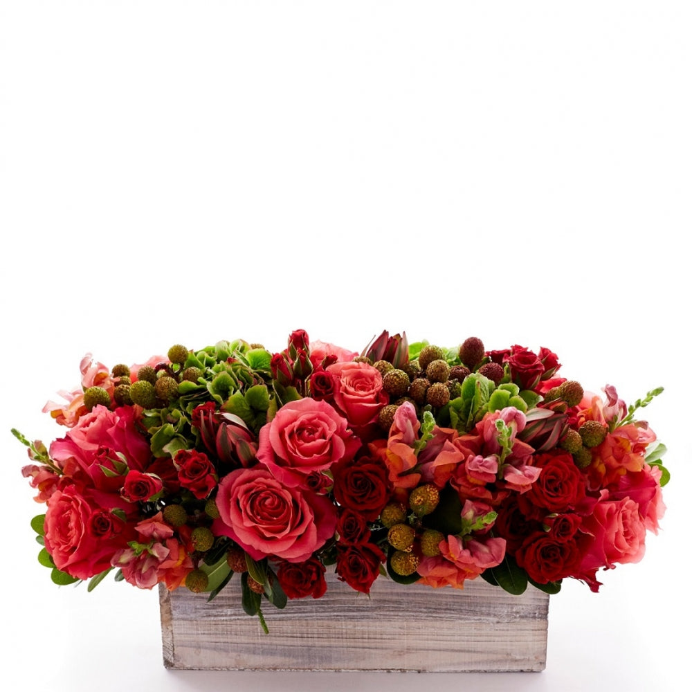 Flower arrangement in a low, rectangle wood box, antique green hydrangea, coral roses, red spray roses, coral snapdragons and berries.