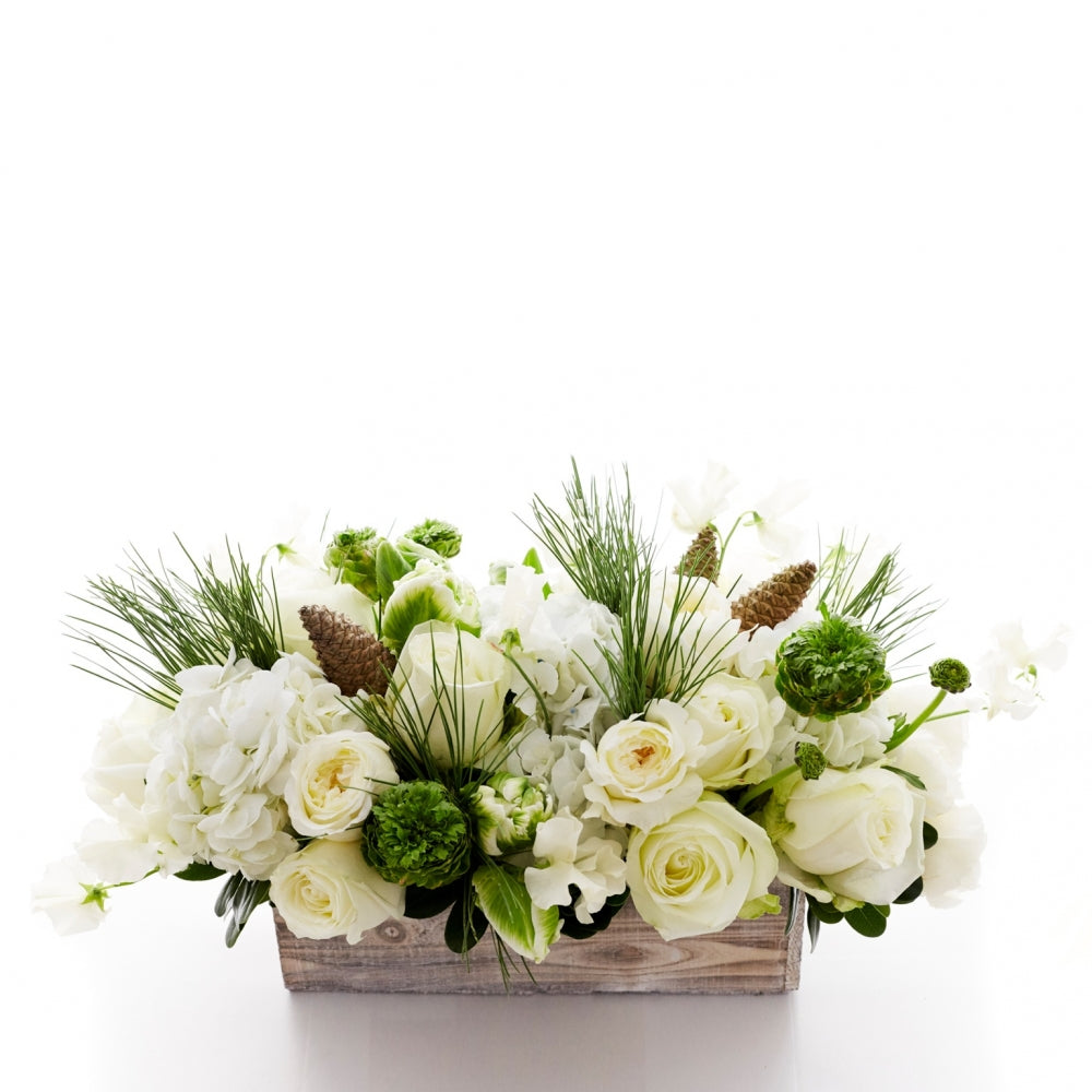 Flower arrangement in a low, rectangle wood box, white hydrangea, white roses, white tulips, green ranunculus and pine cones
